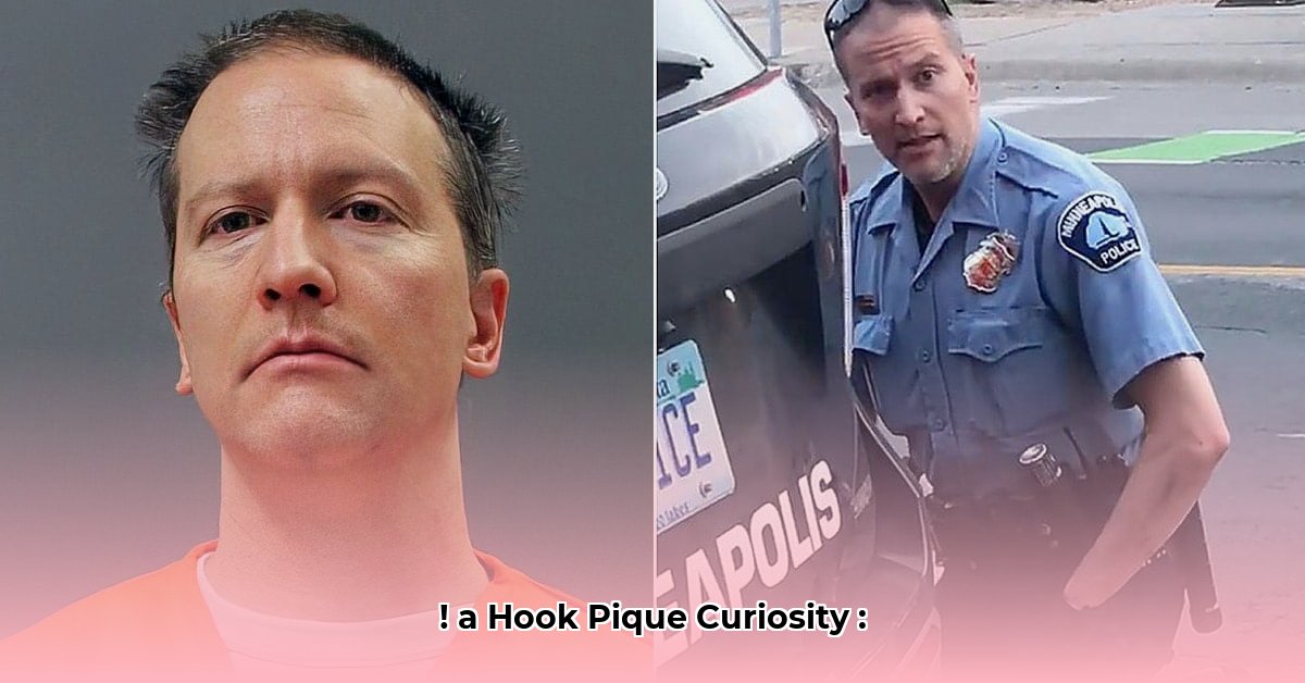 kellie-chauvin-net-worth